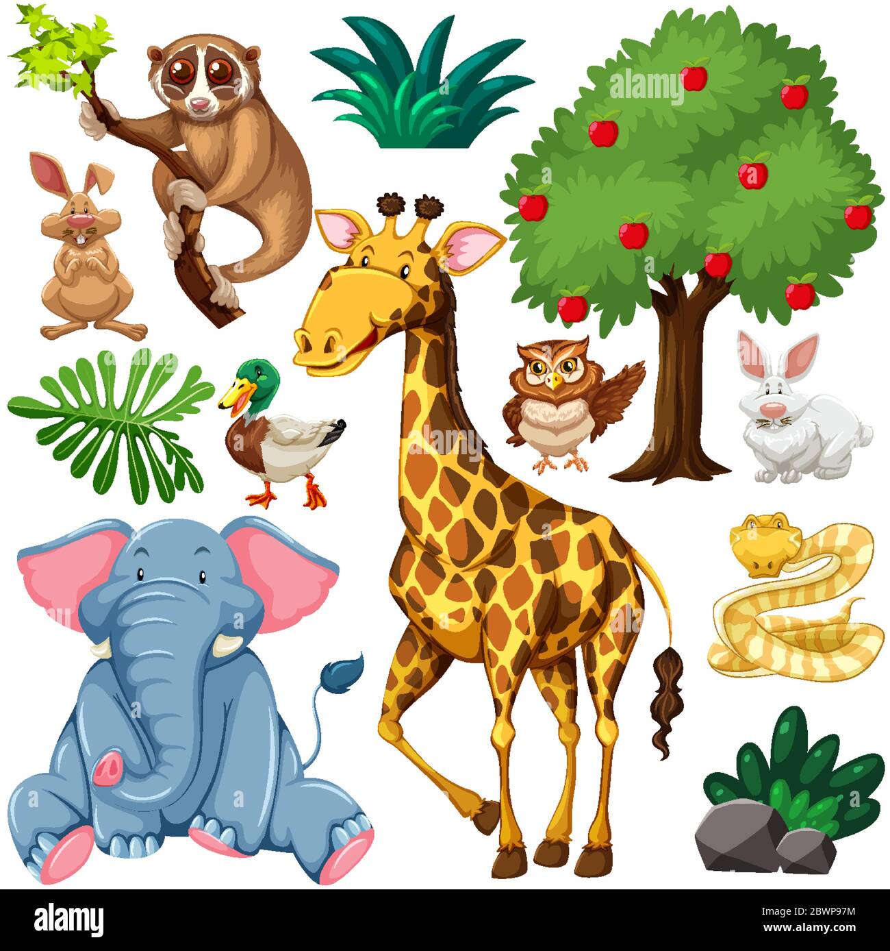 Set of cute wild animal and nature illustration Stock Vector Image ...