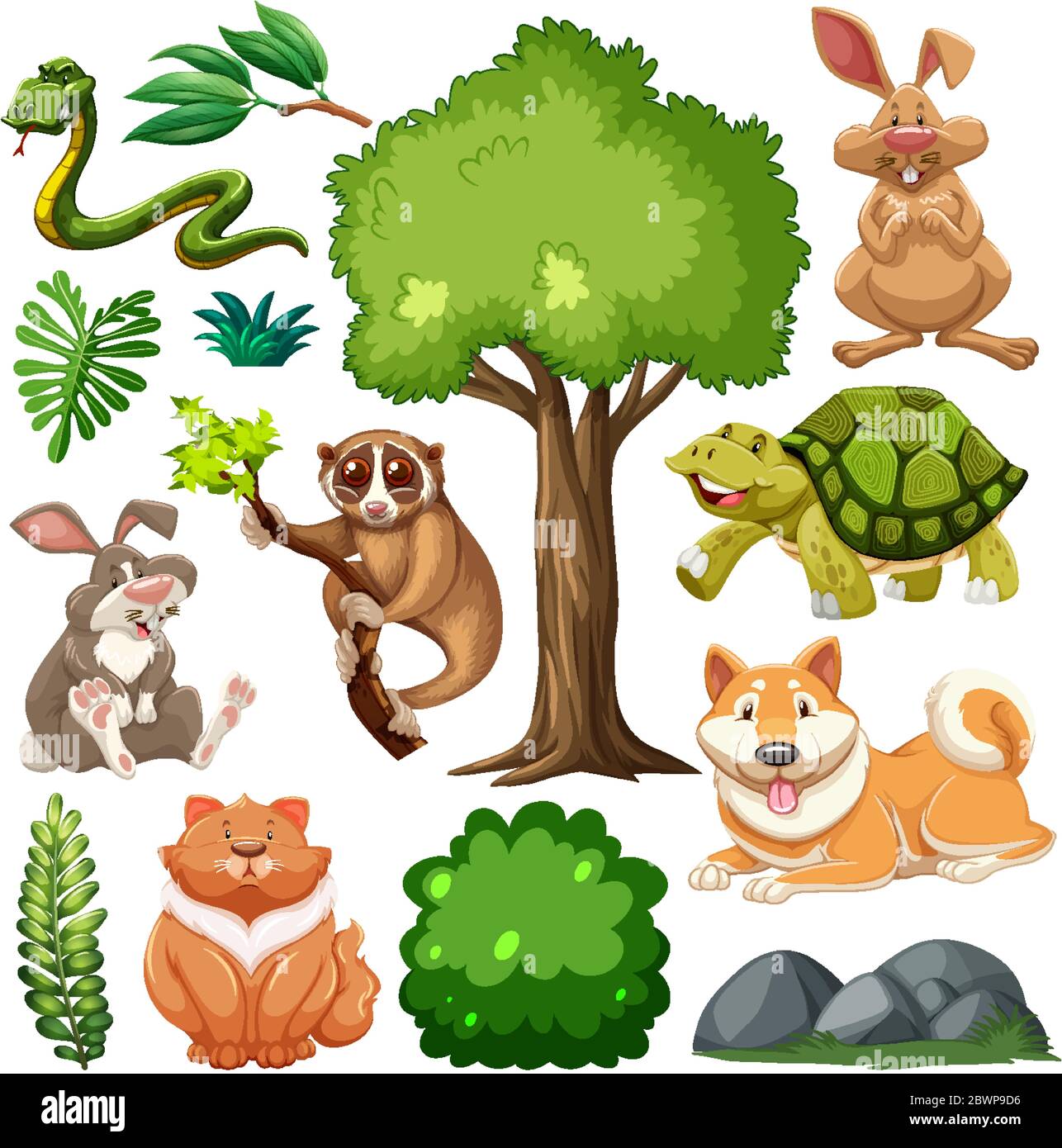 Set of cute wild animal and nature illustration Stock Vector Image ...