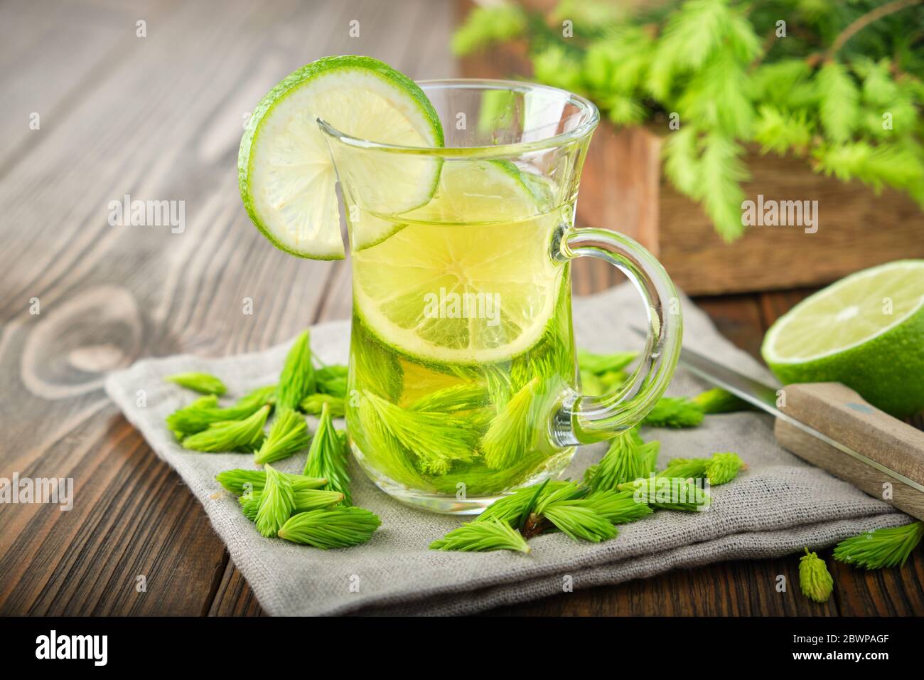 Detox water infused with sliced lime and spruce tips. Homemade refreshing lemonade or vitamin drink. Stock Photo