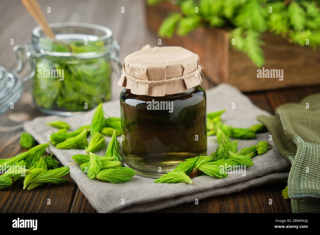 Bottle of infusion, liquid chlorophyll or drink from fir buds and needles, jar of spruce tips and wooden crate of fir tree twigs. Stock Photo