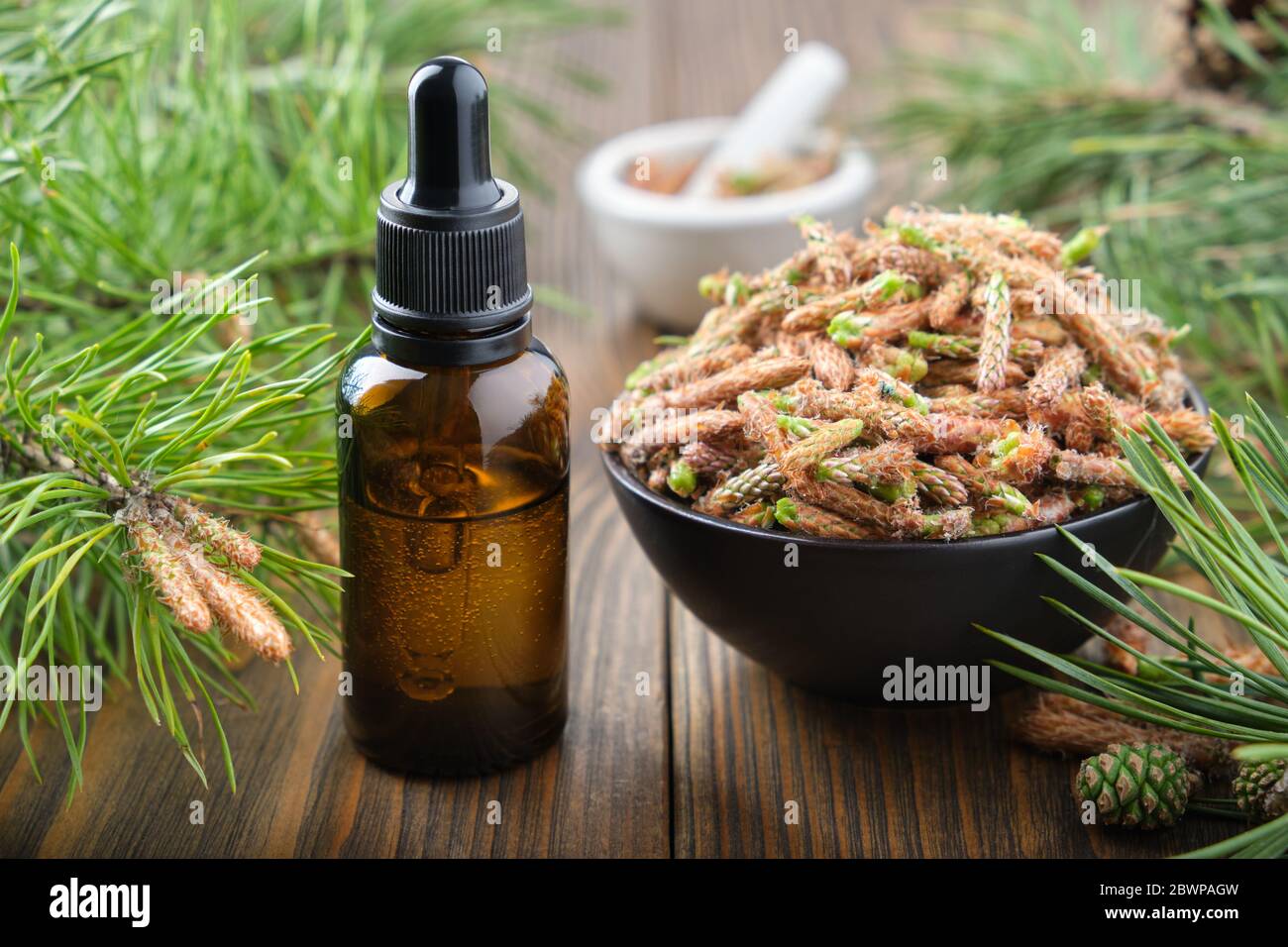 Dropper bottle of essential oil from pine buds, bowl of pine tree buds on wooden table. Stock Photo