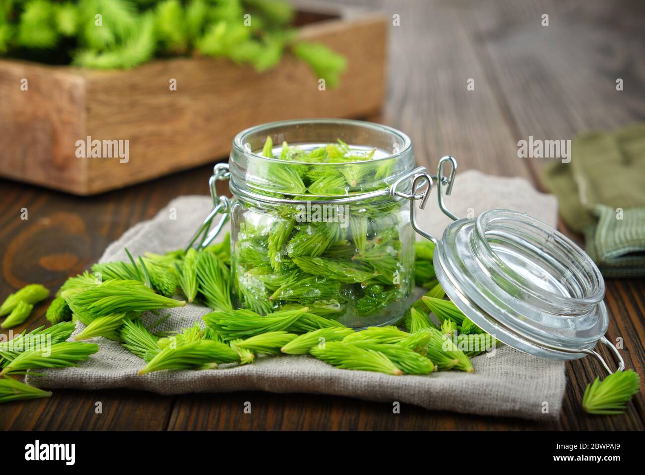 Jar of spruce tips for cooking syrup or honey from fir buds and needles, twigs of fir tree on wooden table. Making spruce tips drugs at home. Alternat Stock Photo