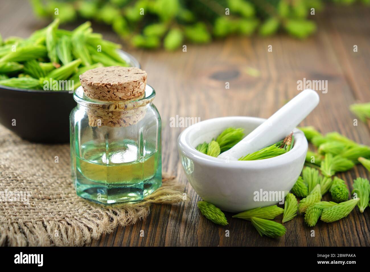 Bottle of essential oil, infusion or tincture from fir buds and needles, mortar and bowl of spruce tips, twigs of fir tree on wooden table. Stock Photo