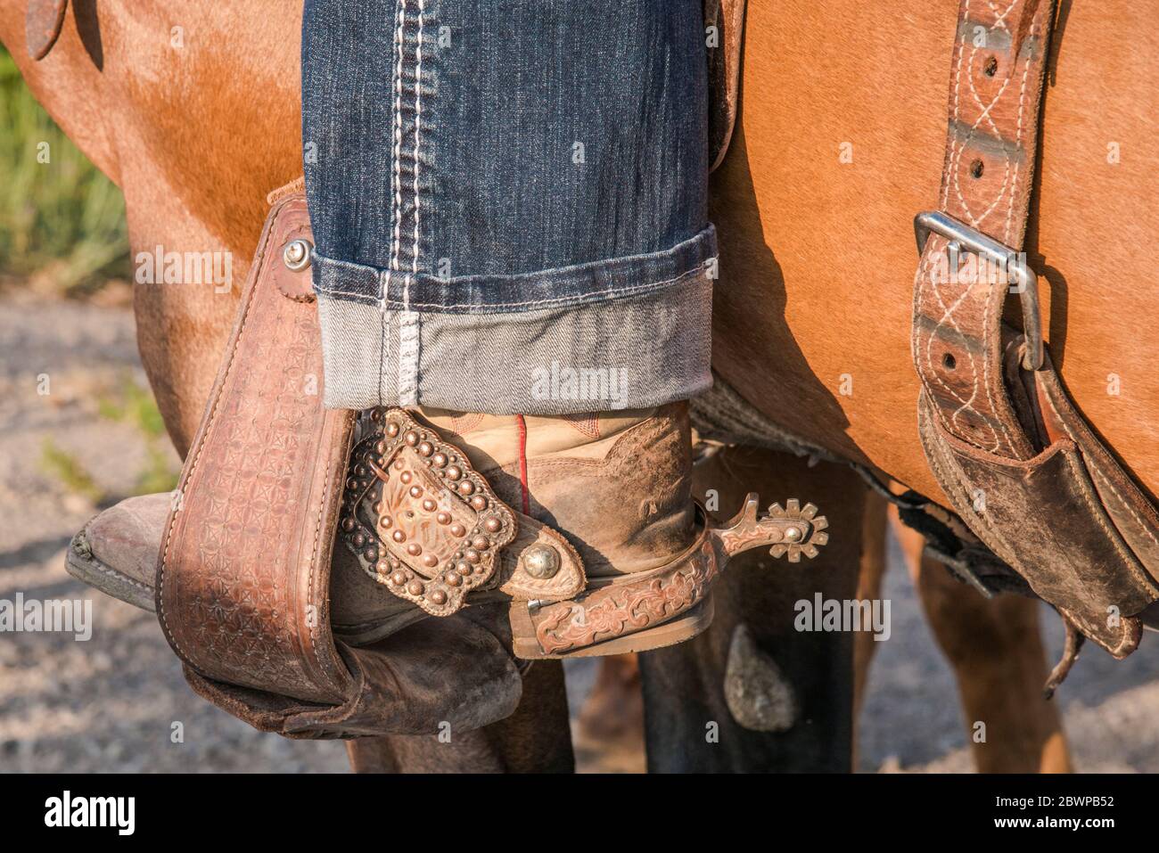 Boot with spurs in stirrup Stock Photo