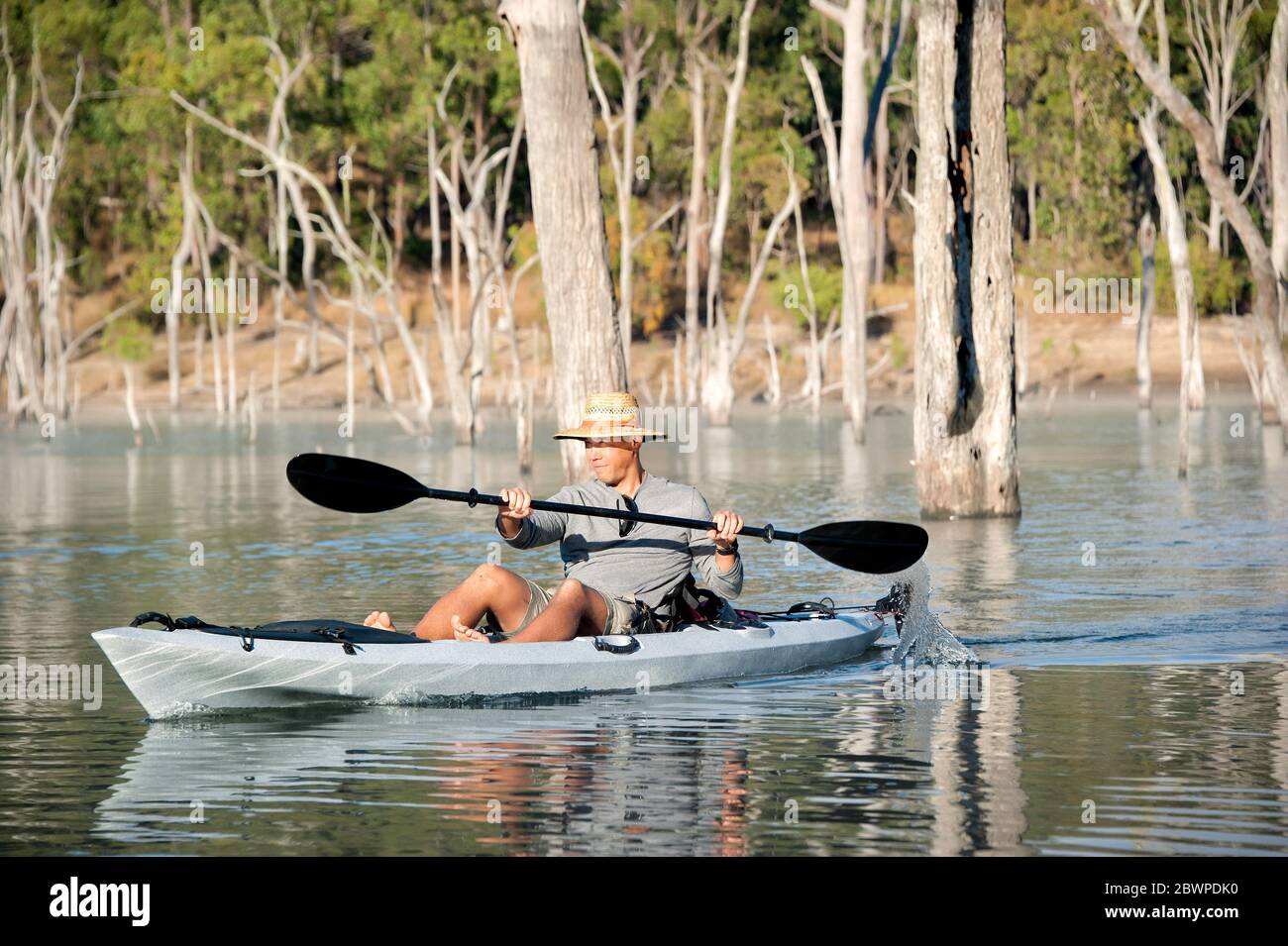 Kayaker paddling into the soft morning light of sunrise on Lake Tinaroo, North Queensland, Australia. Stock Photo