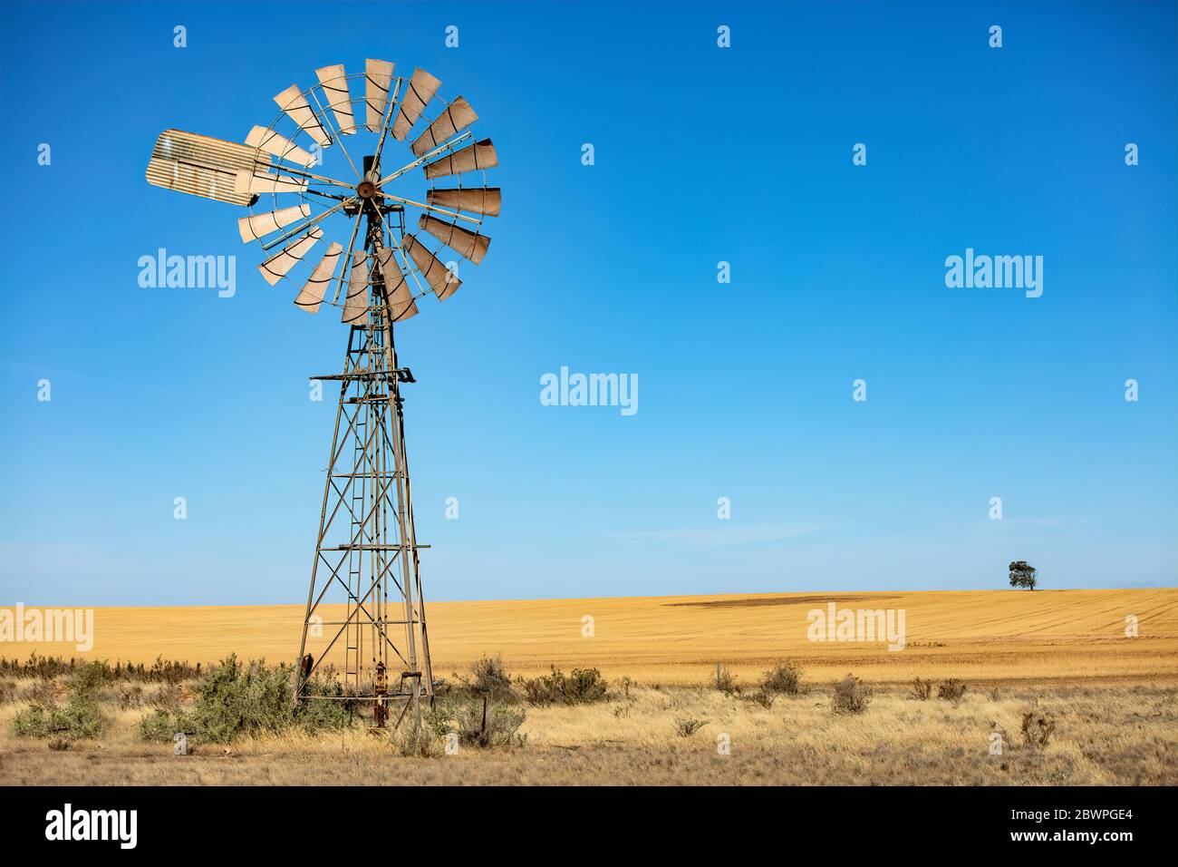 Windmill in South Australia in front of a wheatfield with a solitary tree Stock Photo