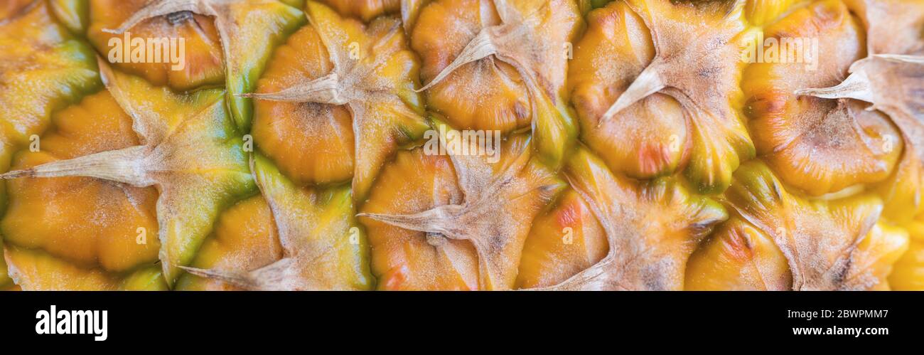 Panoramic shot tasty sweet hi-res stock photography and images - Alamy