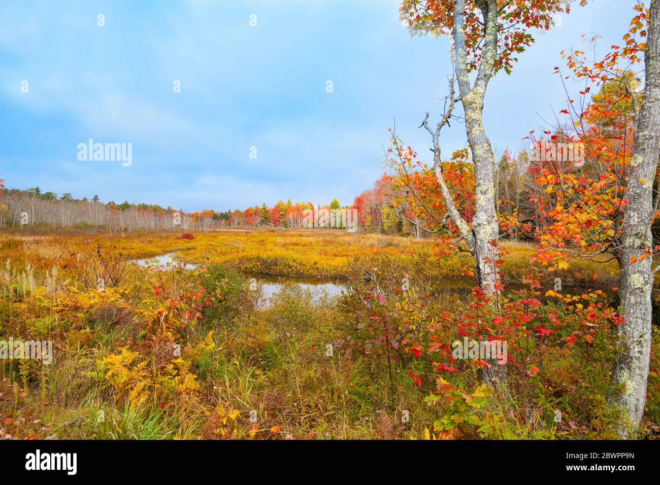Fall scenes of new england hi-res stock photography and images - Alamy