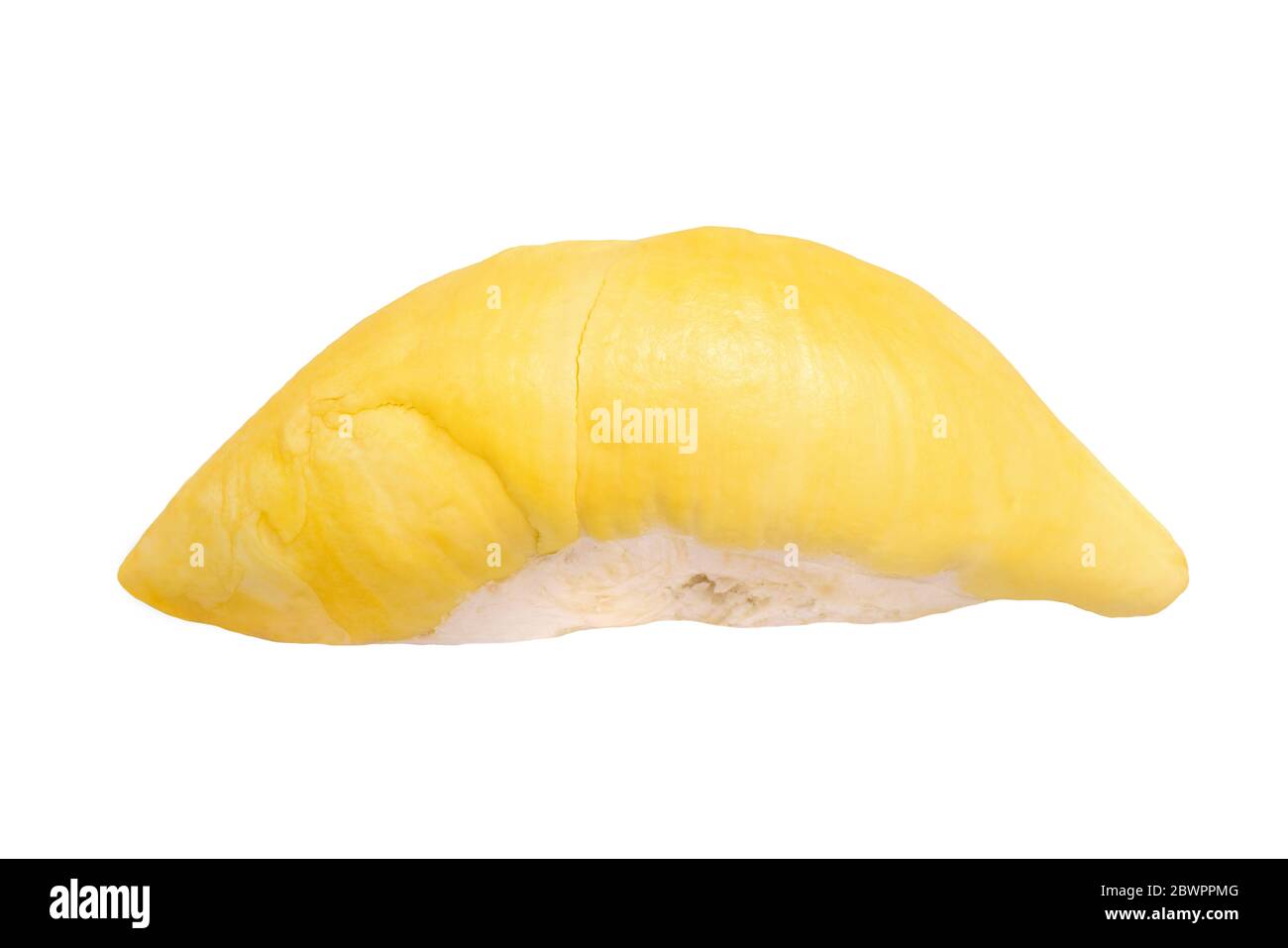 flesh of Mon Thong durian fruit isolated over white background ...