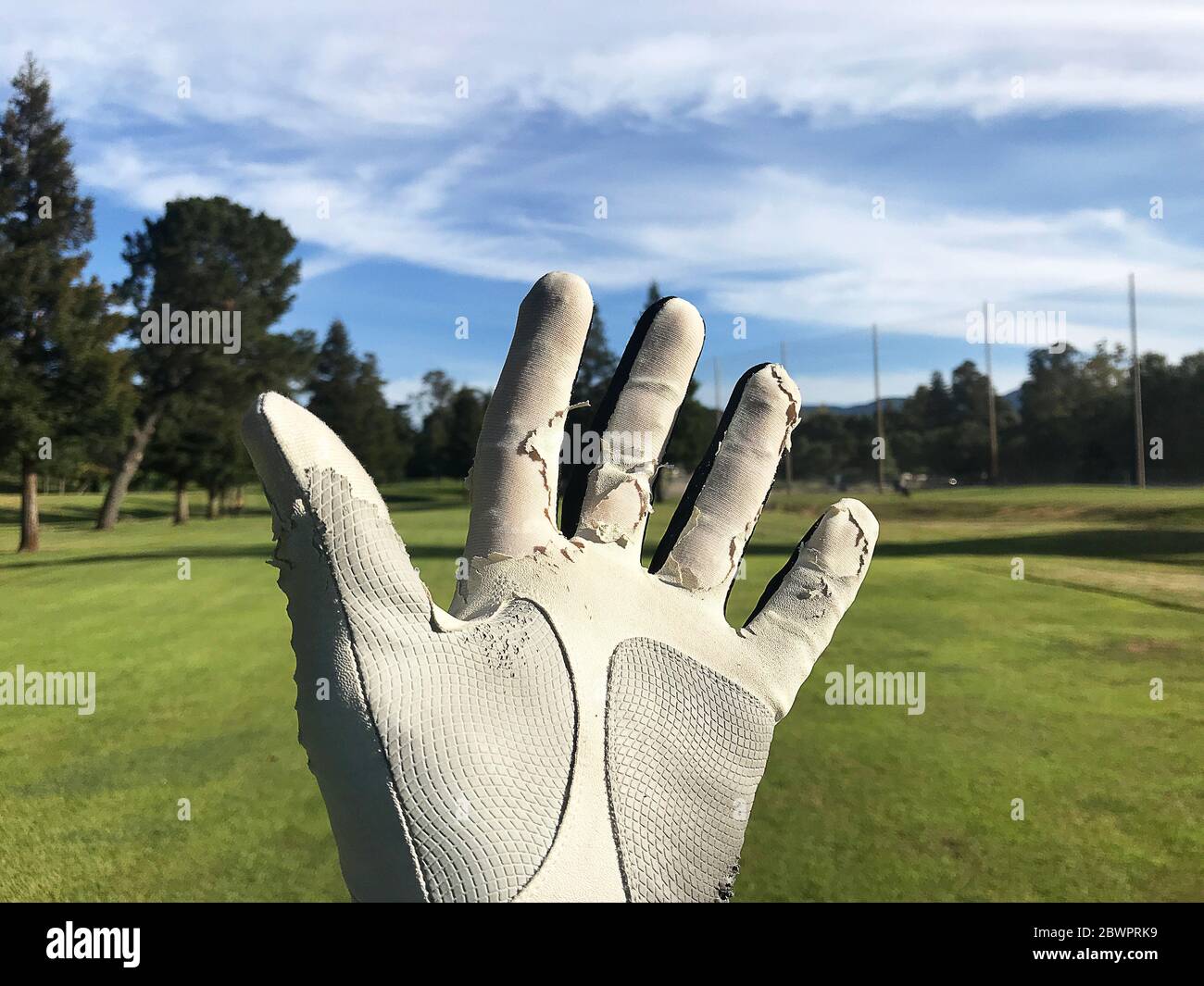 green golf glove