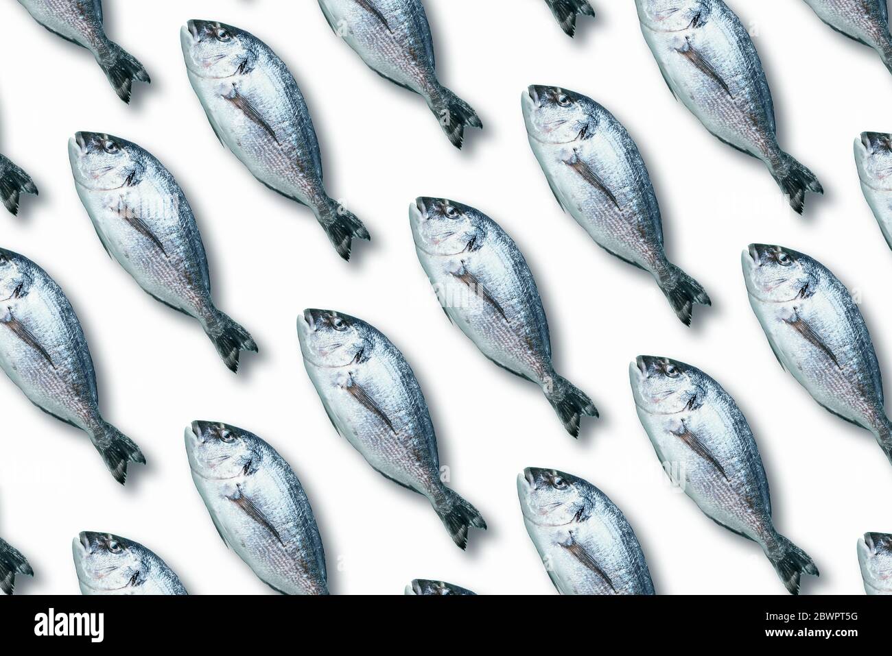 Top View Fish Design Seamless looping top view hi-res stock photography and images - Alamy