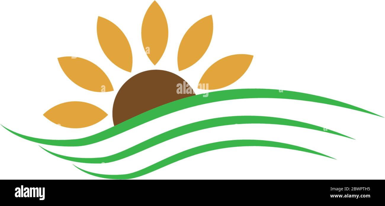 Sun Flower logo icon concept illustration Stock Vector Image & Art - Alamy