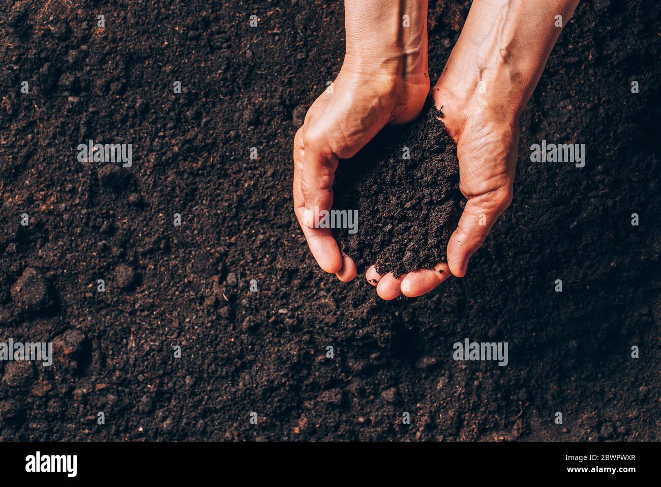 Moist soil background hi-res stock photography and images - Alamy