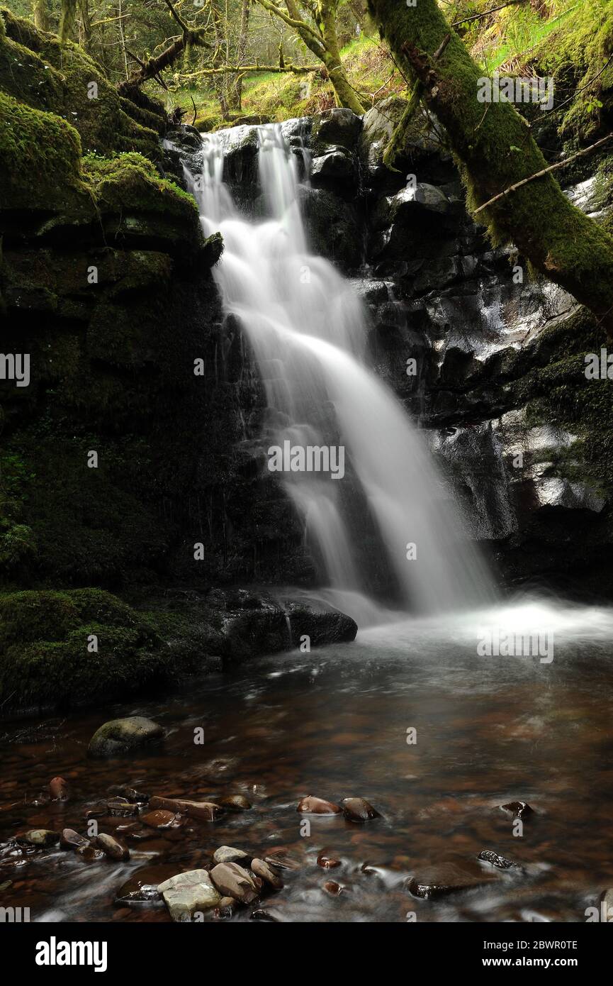 Small waterfall just downstream of the cascade on Nant Bwrefwr. Stock Photo