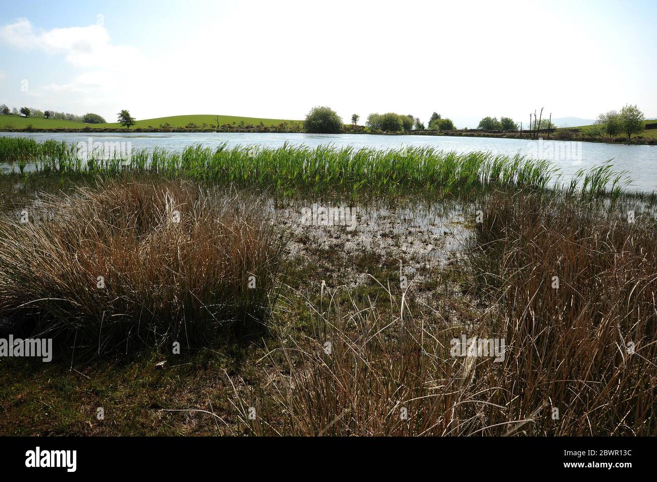 At Monks Pond, The Begwns, near Painscastle. Stock Photo