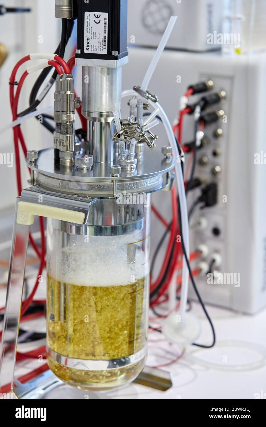 Enzyme production, Chemical lab, Biotechnological and industrial applications, Donostia, San