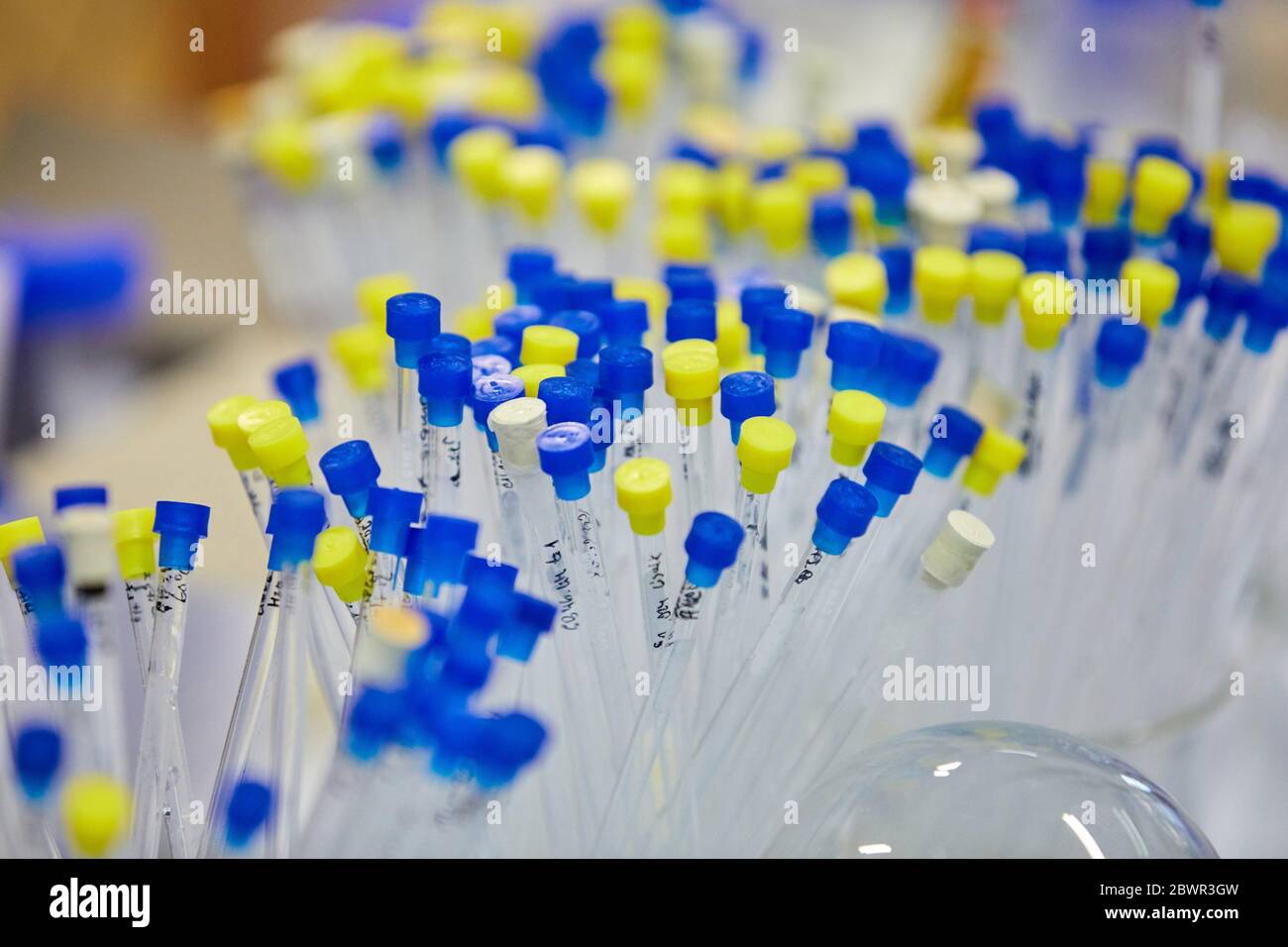Chemical Laboratory, Energy Research, Araba, Basque Country, Spain Stock Photo