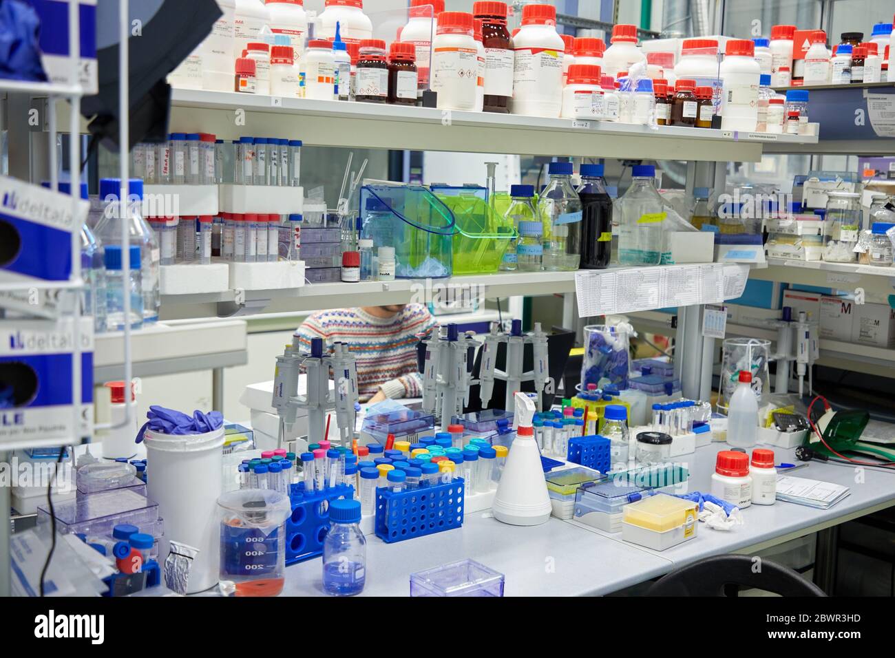 Enzyme production, Chemical lab, Biotechnological and industrial applications, Donostia, San