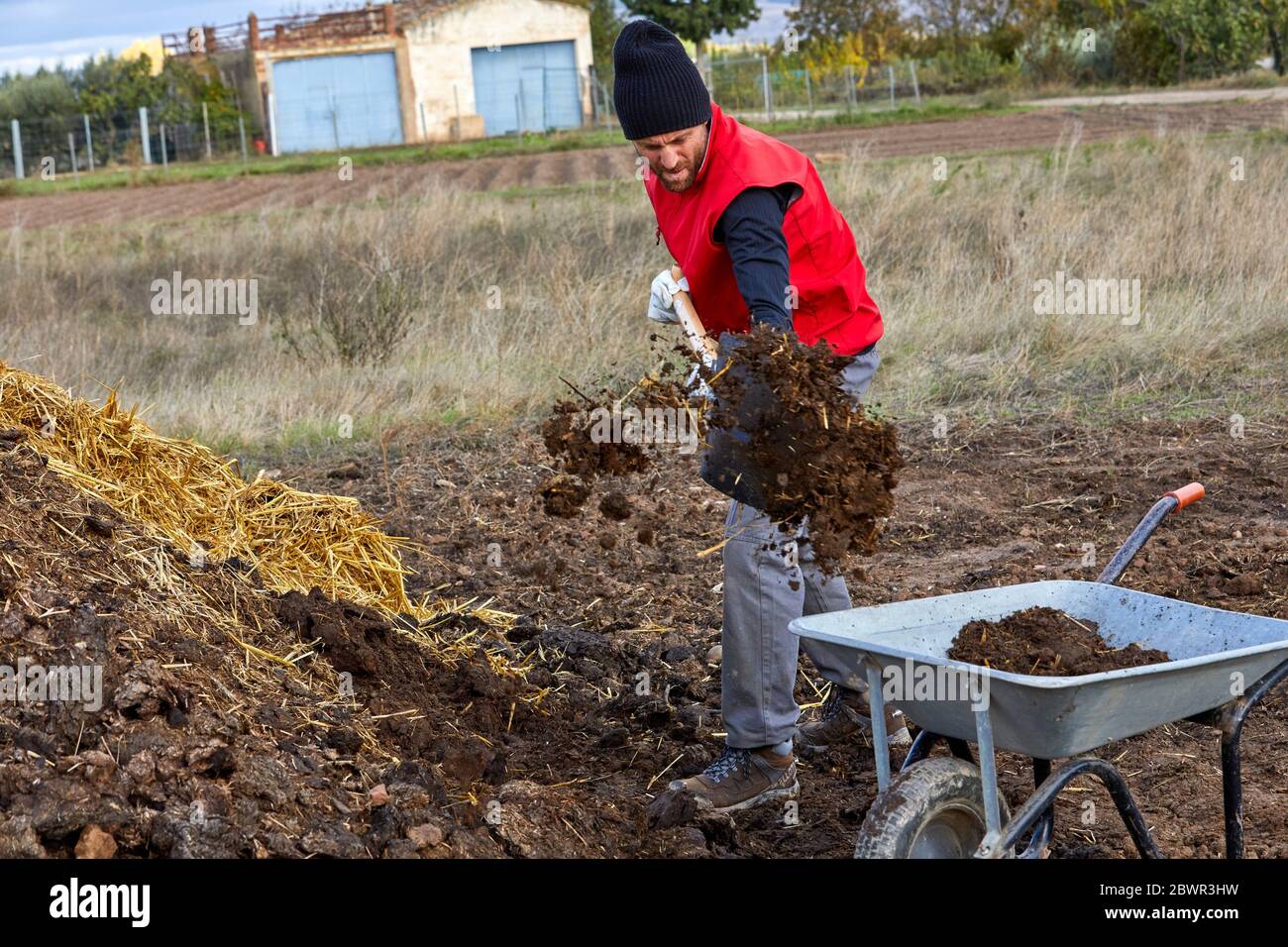 Farmer loading wheelbarrow with manure, Agricultural field, Calahorra, La Rioja, Spain, Europe Stock Photo
