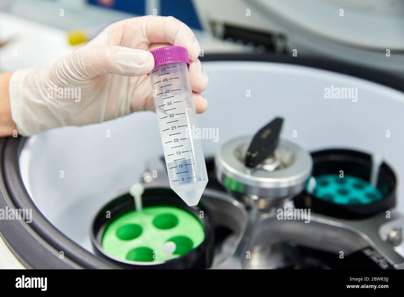 Test tube in centrifuge, Chemical Laboratory, Animal research, Araba, Basque Country, Spain Stock Photo