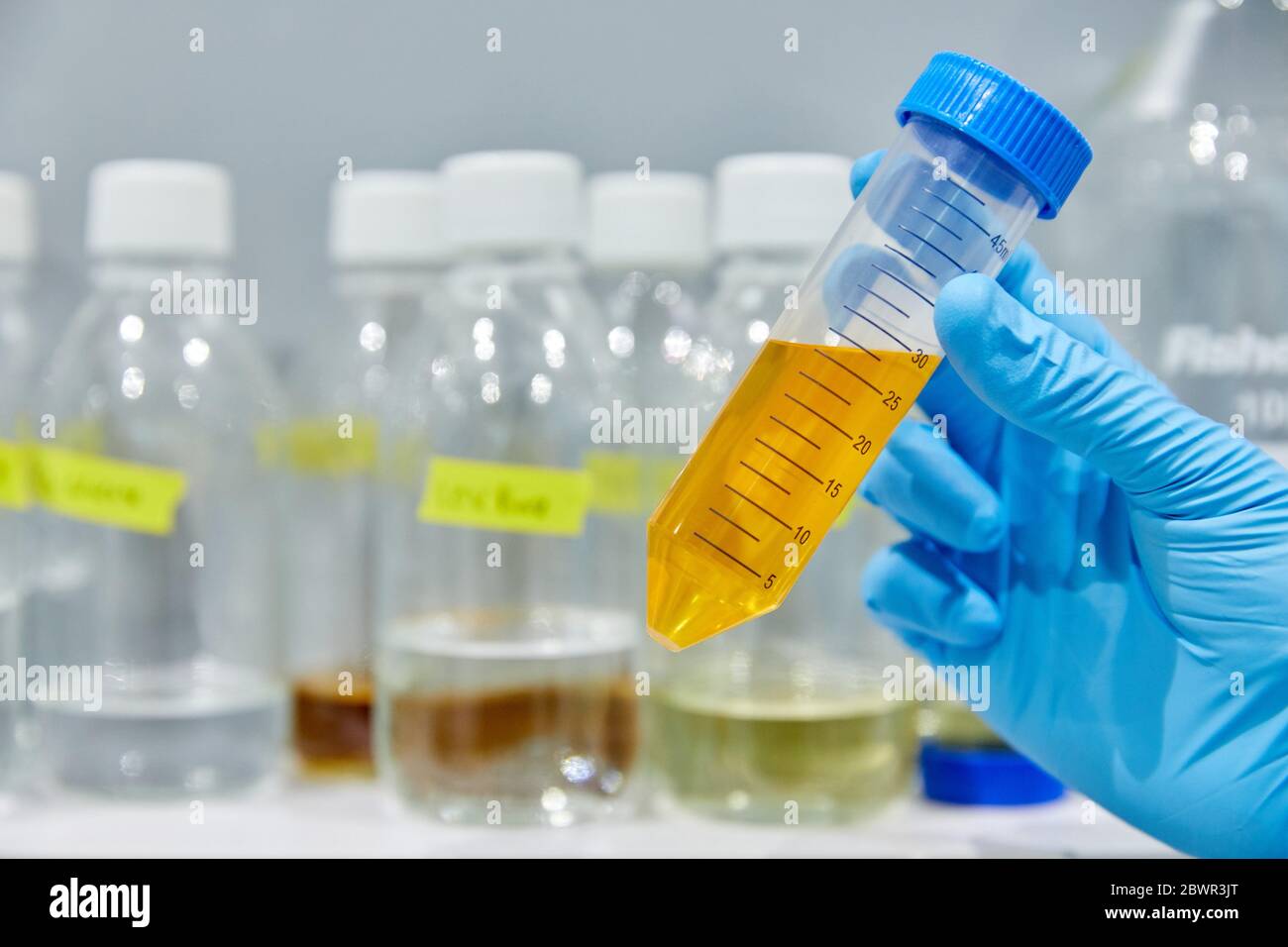 Enzyme production, Chemical lab, Biotechnological and industrial