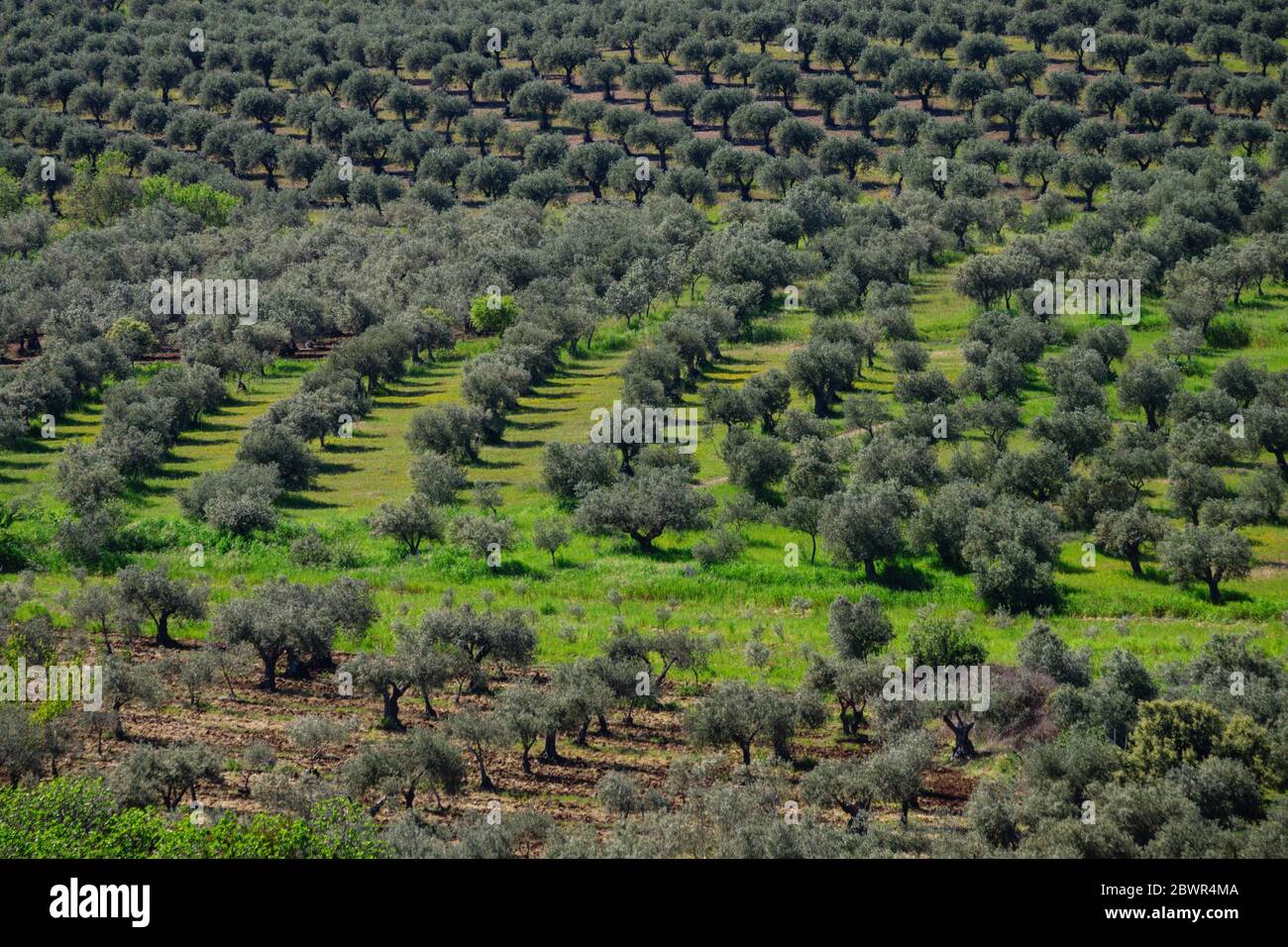 Espacio de campo hi-res stock photography and images - Alamy