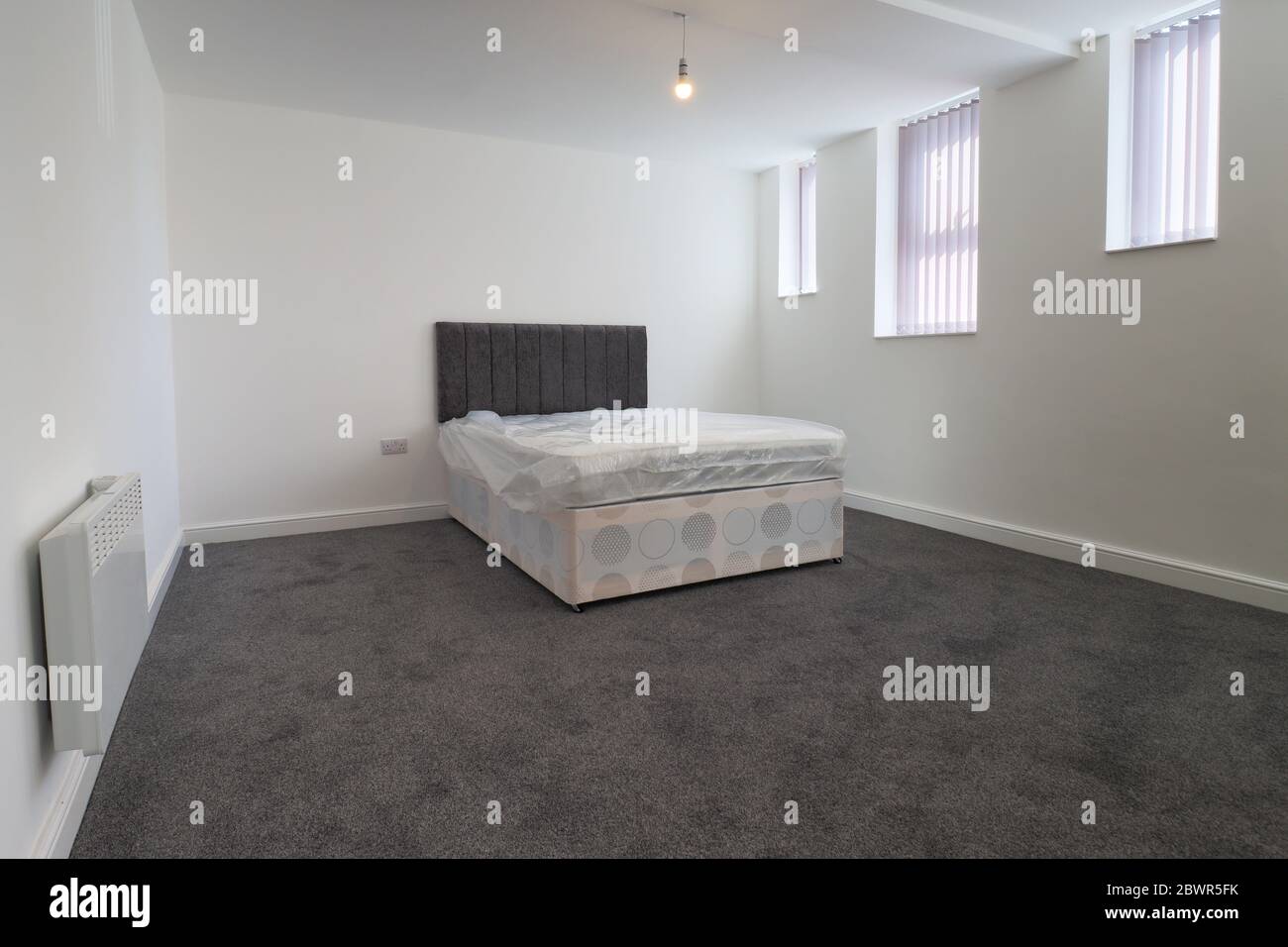 A newly decorated typical British UK bedroom with a large bed, with white  walls, grey carpet with blinds at the window Stock Photo - Alamy