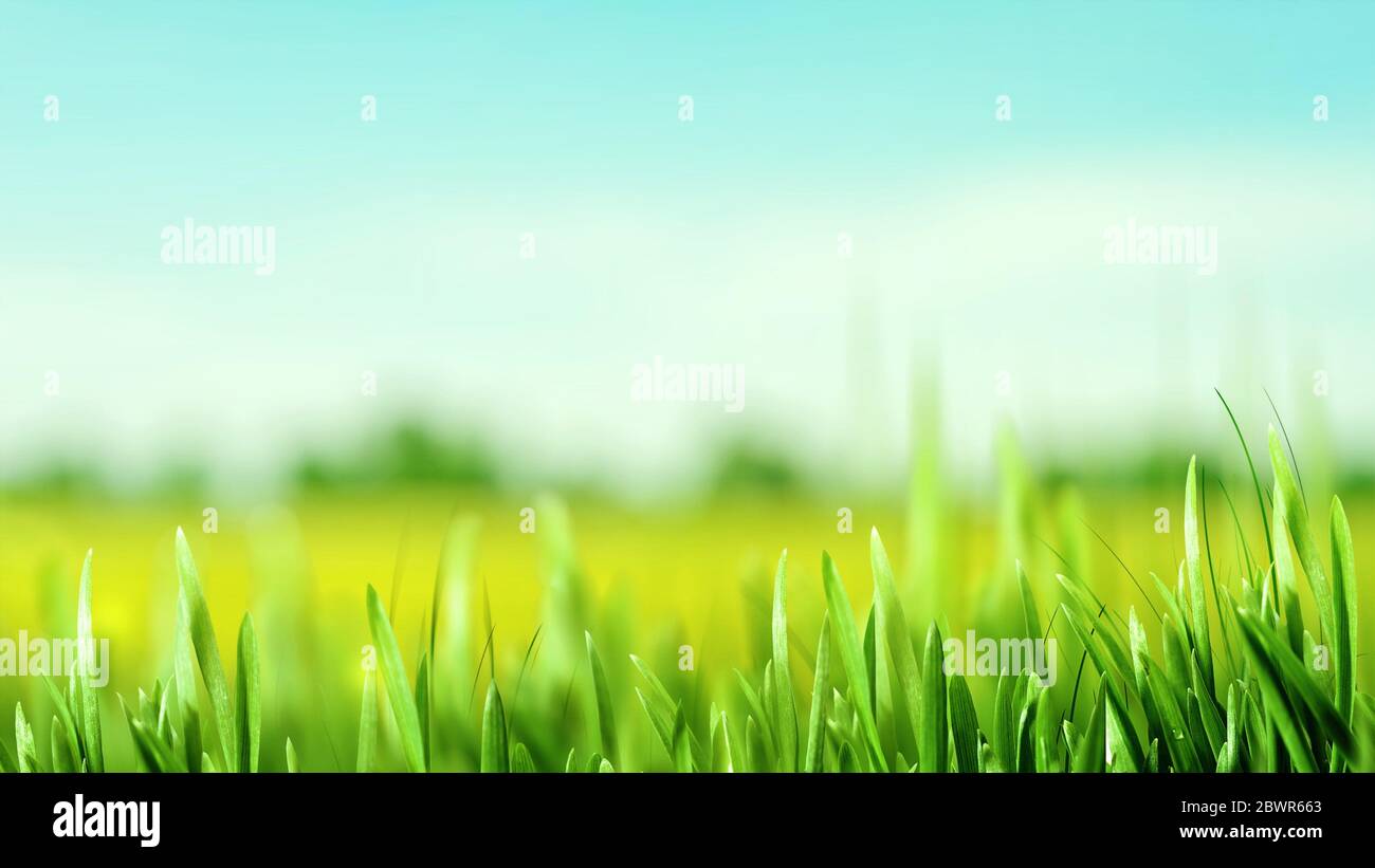 Abstract art backgrounds with green foliage. Environmental backgrounds ...