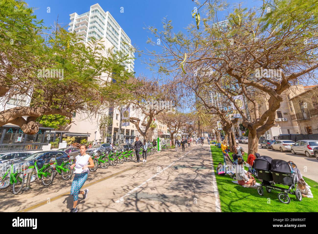 View of trees and walkway on Rothschild Boulevard, Tel Aviv, Israel