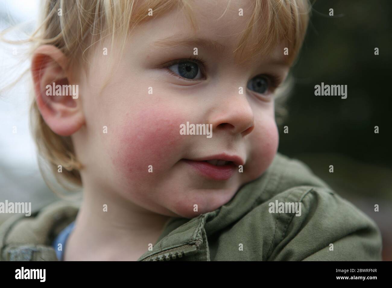Adorable 2 year old boy outdoors in Mottisfont Abbey Gardens. Hampshire, UK.  MODEL RELEASED Stock Photo