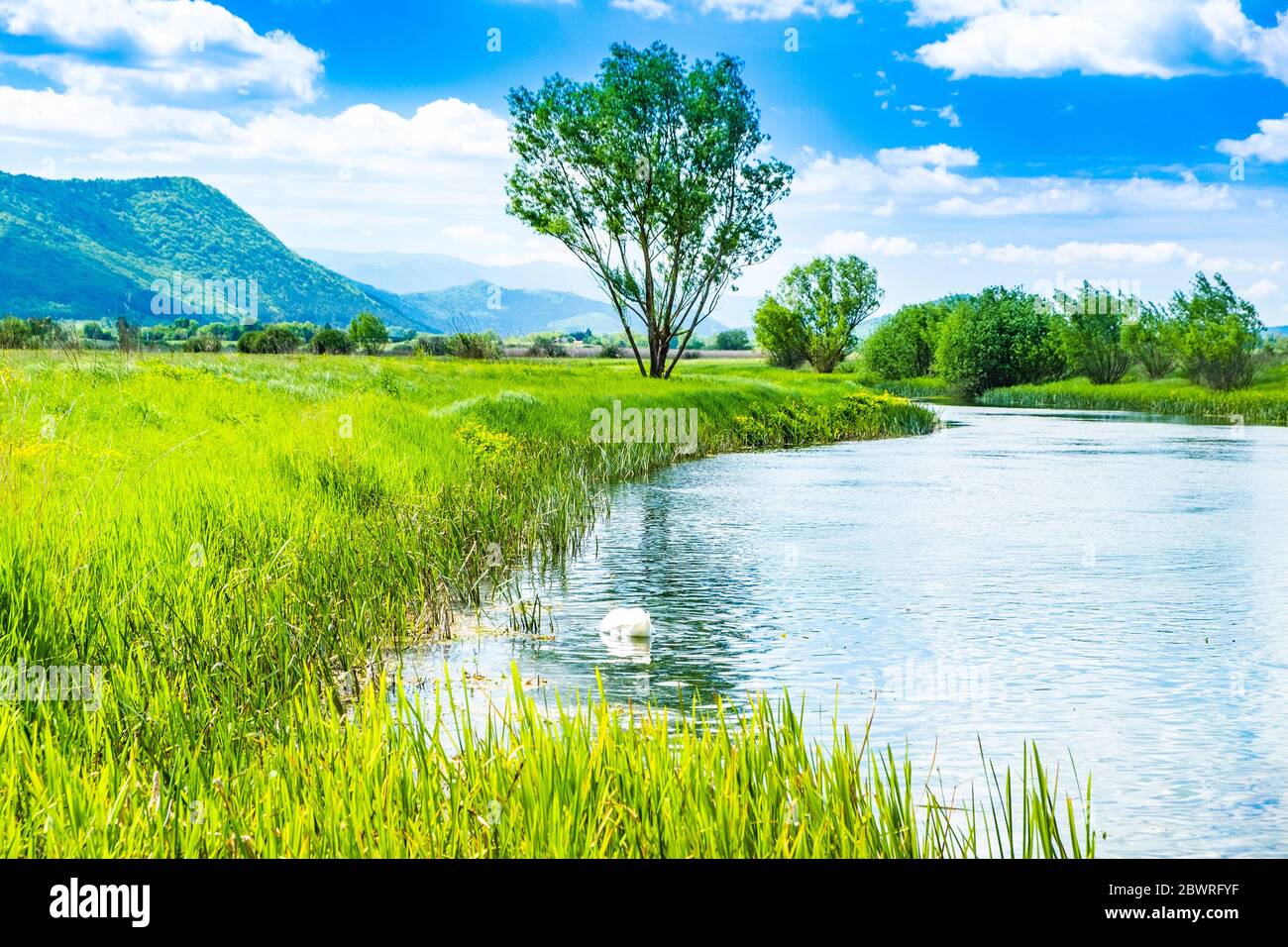 Beautiful green landscape, river Gacka flowing between the meadow fields in Lika region of Croatia Stock Photo