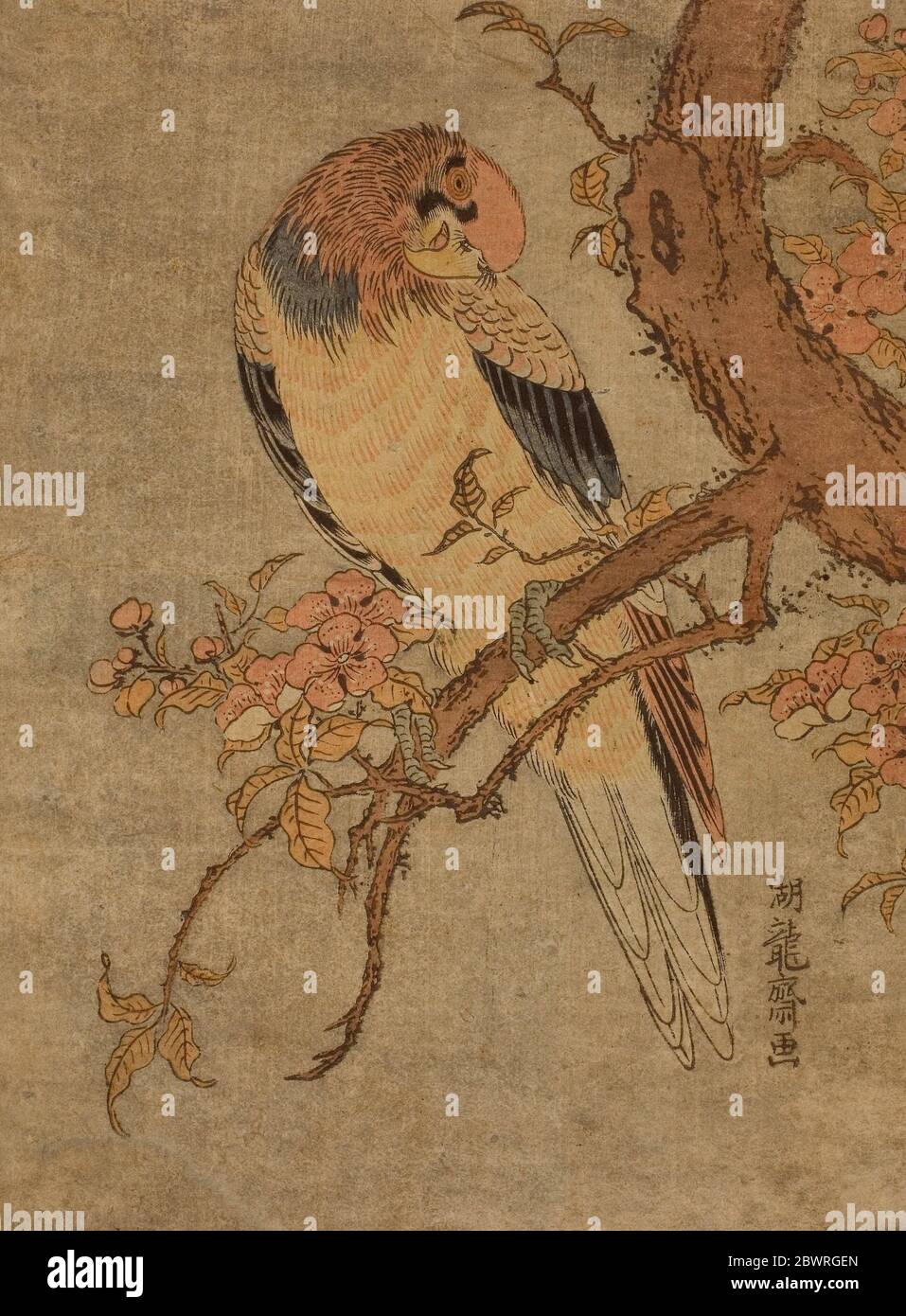 Tied Falcon eyeing a Sparrow Reproduction Woodblock Print by Hiroshige
