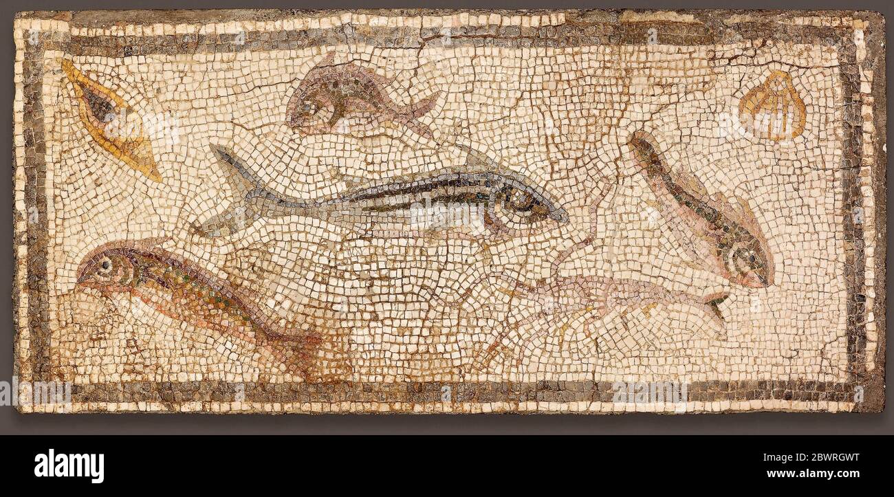 Ancient Roman Mosaic Floor High Resolution Stock Photography and Images ...