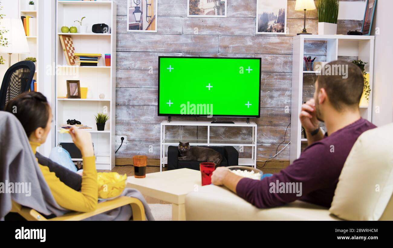 Back view of couple watching tv at home green screen, eating popcorn and the cat looking at them. Stock Photo