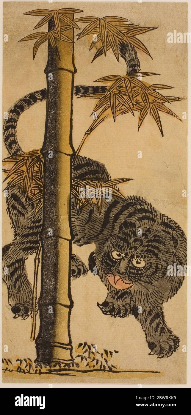 Author: Nishimura Shigenaga. Bamboo and Tiger - c. 1725 - Attributed to Nishimura Shigenaga Japanese, 1697 ()-1756. Hand-colored woodblock print; Stock Photo