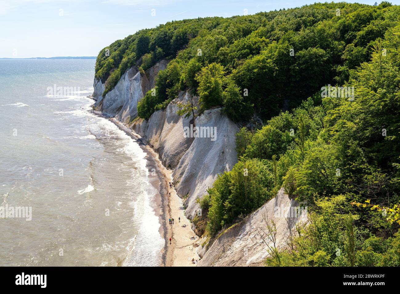 Chalk cliffs on the island Rugen (Rugia). The German Baltic Sea coast ...