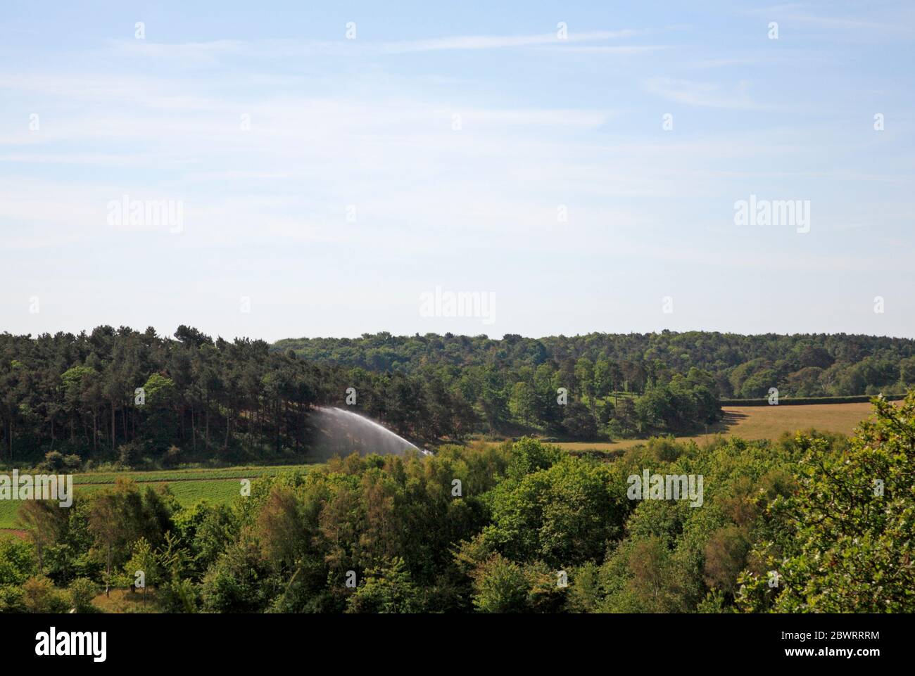 A view of arable farming with crop irrigation in the North Norfolk ...