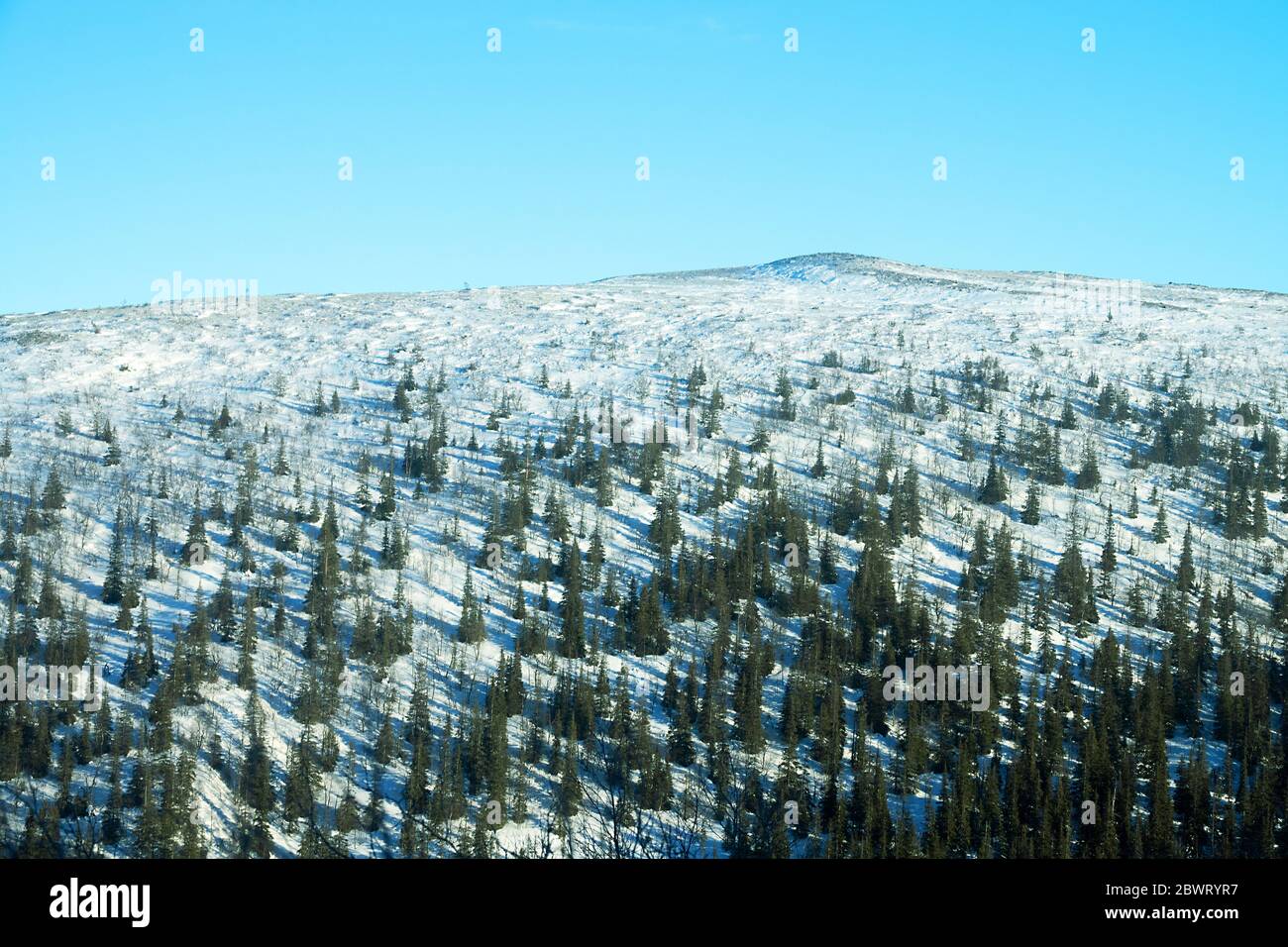 Winter polar mountain expanses from a height. Mountain coniferous forest in winter in Sunny weather. The area of white sea coast Stock Photo