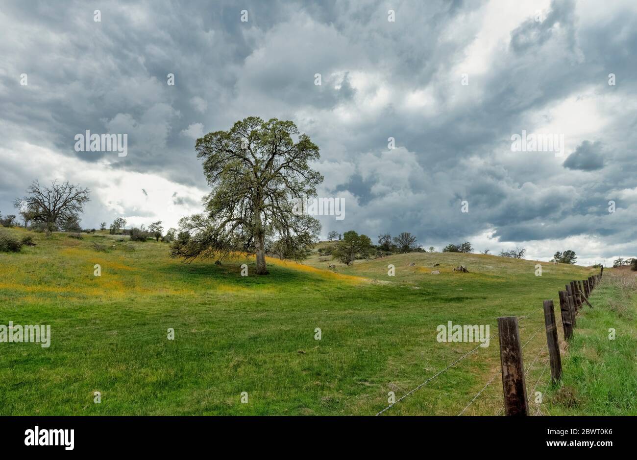 Winter Storm over Central California Foothills. Stock Photo