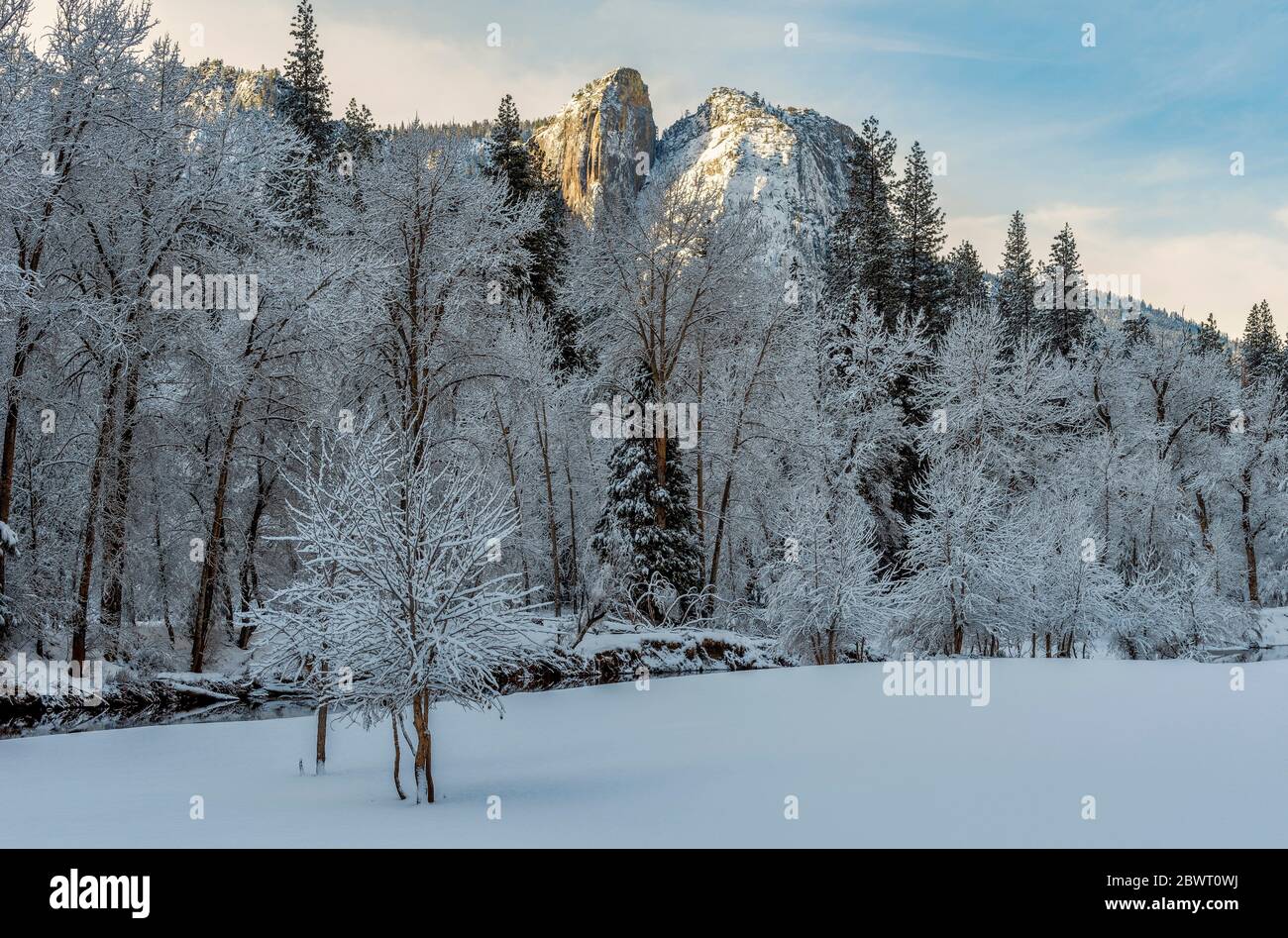 Winter Morning in Yosemite National Park CA USA World Location. Stock Photo
