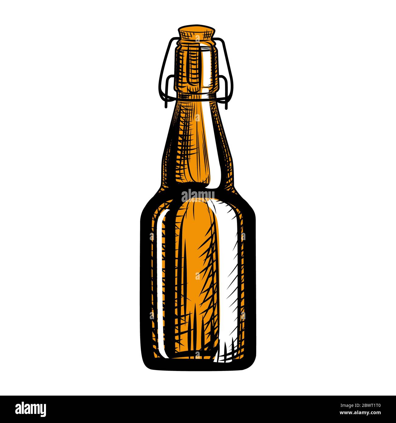 Craft Beer Bottle Engraving Style Hand Drawn Vector Illustration Isolated On White Background Stock Vector Image Art Alamy