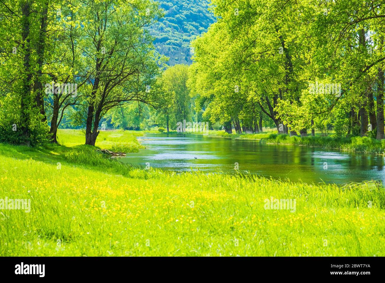 Beautiful green landscape, river Gacka flowing between the meadow fields in Lika region of Croatia Stock Photo