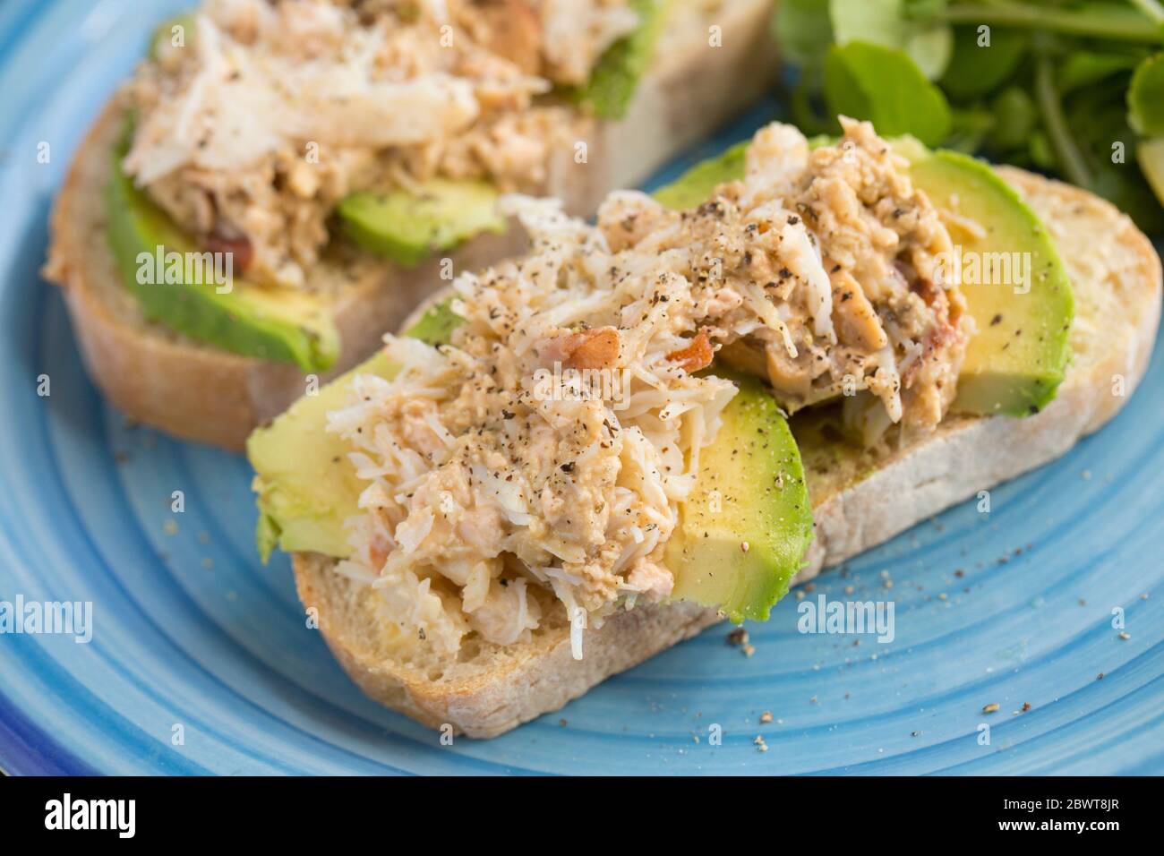 Crab sandwiches made with white and brown meat from a spider crab, Maja brachydactyla, that was caught off the Dorset coast. Served with avocado and w Stock Photo