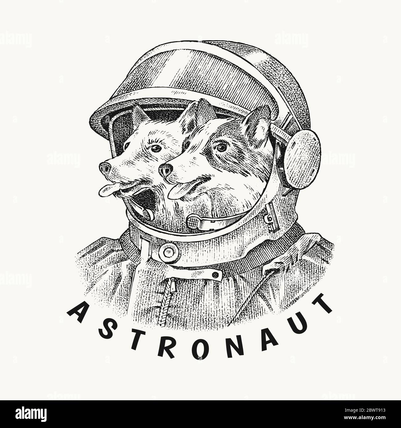 Two dogs husky astronauts in a spacesuit. The first cosmonauts in space.  Fashion Animal character label. Hand drawn sketch. Vector engraved Stock  Vector Image & Art - Alamy