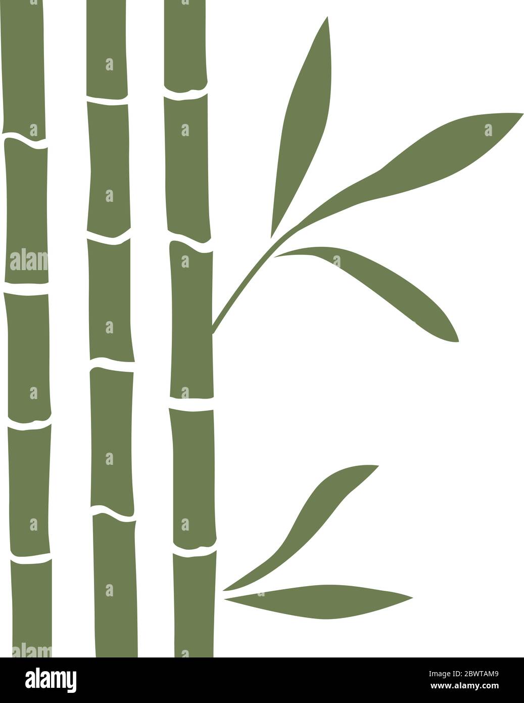 Green Bamboo Vector Background Stock Vector Image Art Alamy Green Bamboo Vector Background Stock Vector Image Art Alamy