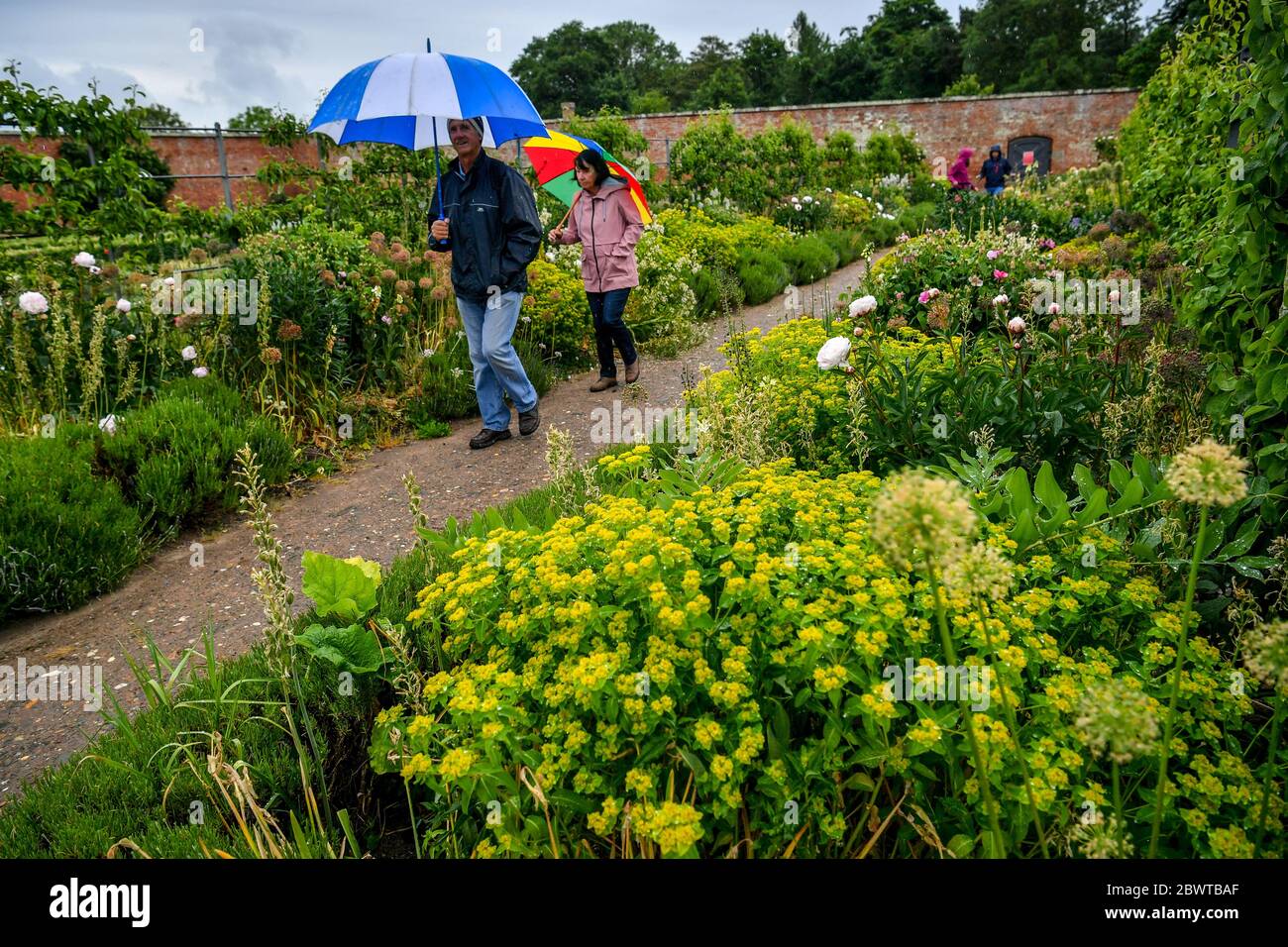 Attingham Park Walled Garden Hi res Stock Photography And Images Alamy attingham-park-walled-garden-hi-res-stock-photography-and-images-alamy