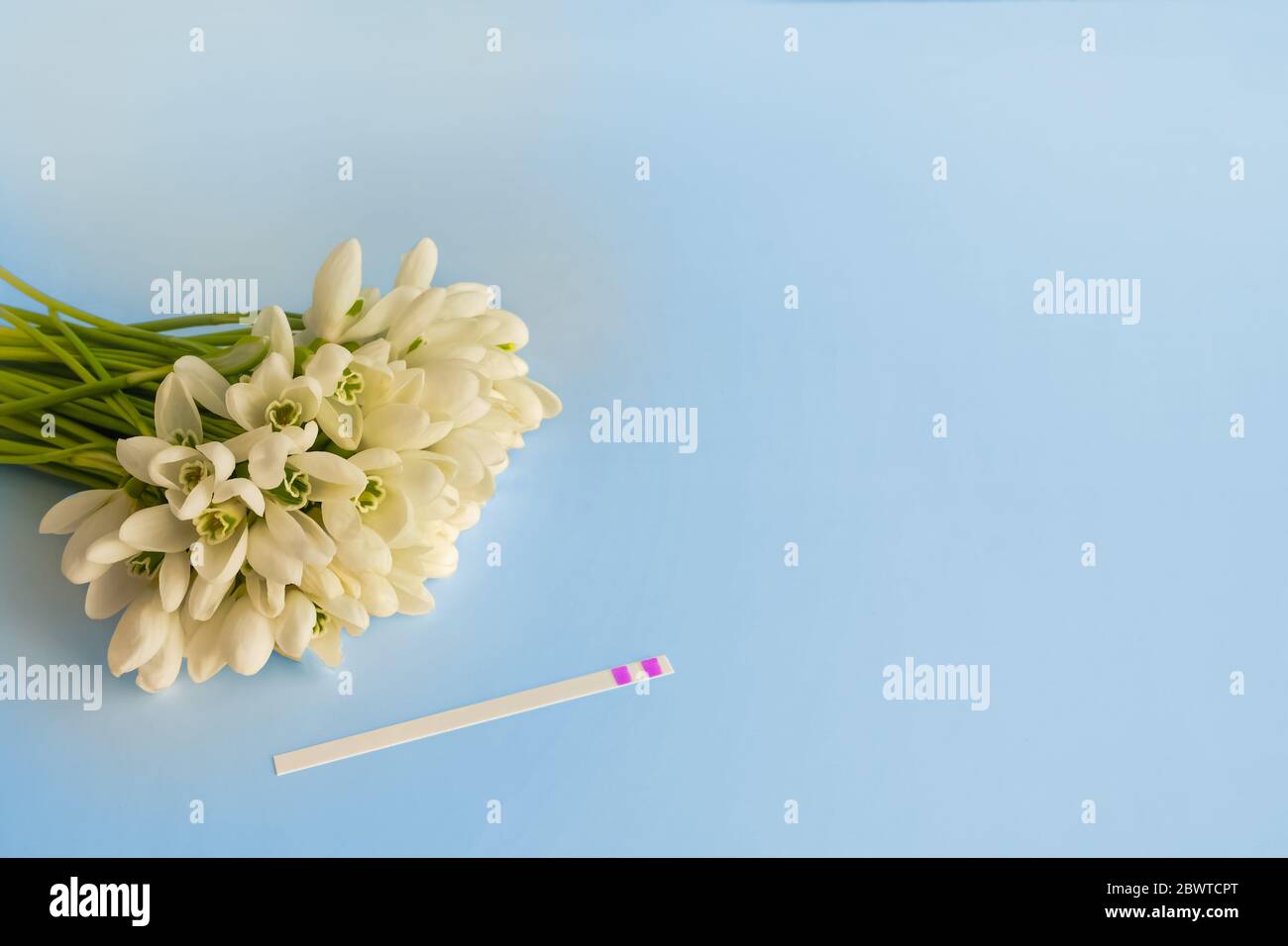 Pregnancy test. and flowers. The Joy of Motherhood. Bright Blue background. Space for text Stock Photo