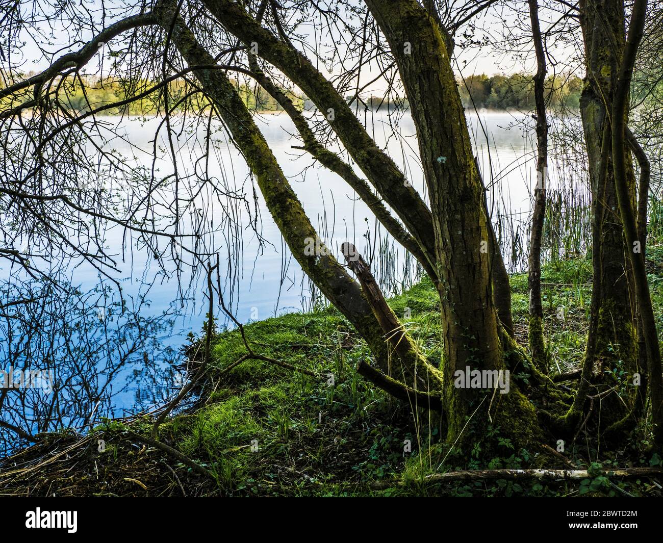 A sunny, spring morning at Coate Water in Swindon. Stock Photo