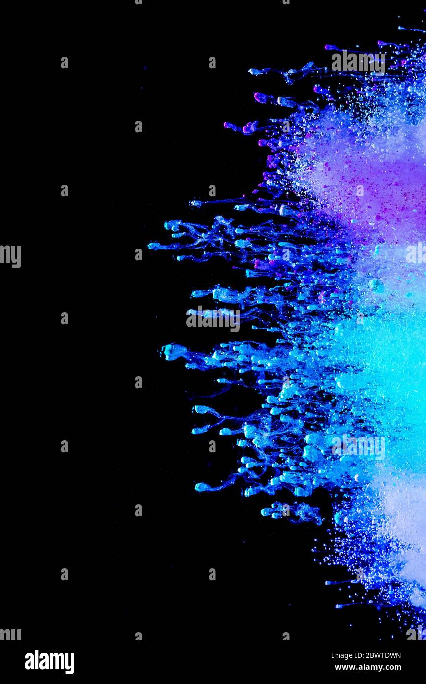 Abstract colored dust explosion on a black background.abstract powder ...