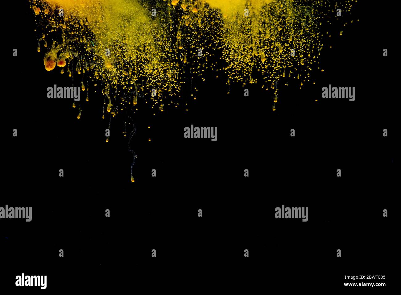 Abstract colored dust explosion on a black background.abstract powder ...